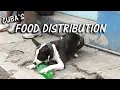 What s in Cuba s Monthly Food Distribution
