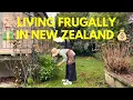 Download Lagu Our slow life in New Zealand | Living frugally because everything is expensive
