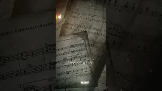 كاسح الجداره مش محترم القواعد  اغاني شعبي  حالات واتس  اكسبلور  تصميم فيديوهات             دندنها