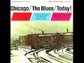 Johnny Young's South Side Blues Band - Stealin' Back