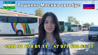 Ташкент-Москва автобус | Moskva-Toshkent | Москва-Ташкент автобус |  Toshkent-Moskva #shorts #viral