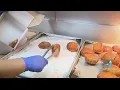 Malasada businesses prepare for busy Fat Tuesday offering some new take-out options
