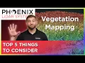 LiDAR Mapping Through Vegetation - 5 Tips You Should Know