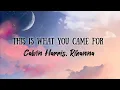 Calvin Harris - This Is What You Came For ft. Rihanna(Lyrics)