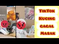 Download Lagu TikTok Kucing Gagal Masak | فشل قطة تيكتوك في الطبخ