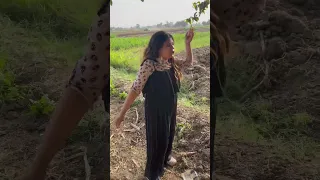 يعني انا بقالي ساعه واقفه وبرضو الشجره فاضيه بنت المنوفيه حلم منوفي ابن المنوفيه كوميدي 