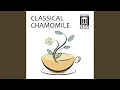Download Lagu Was mir behagt, ist nur die muntre Jagd!, BWV 208, \