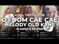 Download Lagu DJ DOM CAE CAE X MELODY OLD (Slowed \u0026 Reverb)