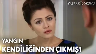 Ferhunde'nin inadı boş çıkıyor! - Yaprak Dökümü Özel Klip