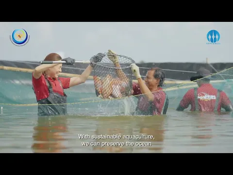 Potensi Perikanan Budidaya Indonesia dari Hulu Hingga Hilir