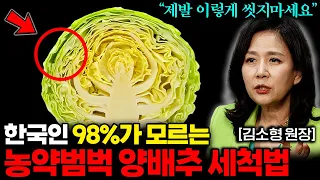"베이킹소다, 식초 아닙니다" 양배추 이렇게 씻어야 농약이 싹! 사라집니다 (김소형 원장 통합본)