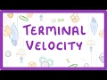 GCSE Physics - Terminal Velocity