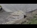 Dam n --Lake Paradise Mattoon IL