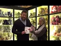 Charlie Bears 2020 Collection Launch