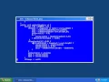 One Hundred Bouncing Balls Java