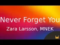 Download Lagu Zara Larsson, MNEK - Never Forget You (Lyrics)