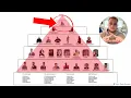 is globe life a pyramid scheme insurance agent reacts