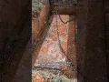 Did you know about this hidden casket feature