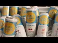 High Noon Vodka Seltzer