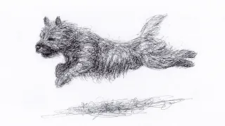 Scribbling a Yorkshire Terrier with a Biro Pen