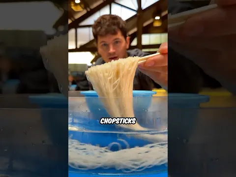 Japanese Swimming Noodles