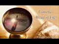 I Am the Bread of Life  |  Catholic Communion Hymn  |  Emmaus Music