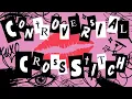 PART 2 YOUR Controversial Cross Stitch Opinions