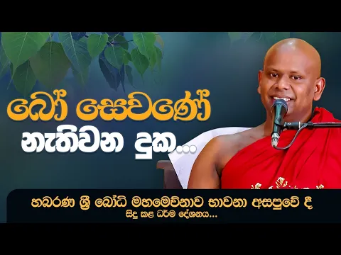 Download MP3 බෝ සෙවණේ නැතිවන දුක... | Venerable Welimada Saddaseela Thero