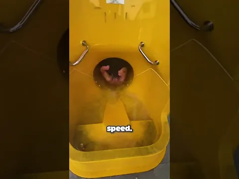 This Slide Sent Everyone Down At The Same Time 😳🌊