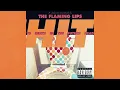 The Flaming Lips - Talkin' 'Bout the Smiling Deathporn Immortality Blues (Everyone Wants to Live...