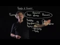 The Benefits of Containers