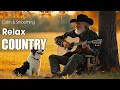 Download Lagu 【Country Relax 141】Calm Guitar Melodies for Strolling Beneath the Autumn Trees