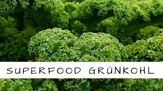 How to Cook Kale | Garlic Kale Recipe | Hilah Cooking. 