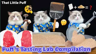 🕹️Puff's Tasting Lab pick your favorite! | That Little Puff