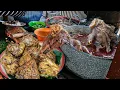 Download Lagu SAMPAI PAKAI TOA KARENA GAK SERAME DULU SEJAK DISURUH PINDAH TEMPAT