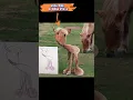 Download Lagu Gambar Anak Apabila Di Dunia Nyata #shorts #animals #hewan #gambaranak @MFPChanell