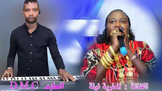 الفنانة الثراثية نيلة والعازف D M C 