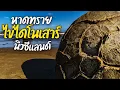 Download Lagu การก่อตัวของหินแปลก ๆ ในนิวซีแลนด์