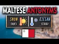 Maltese OPPOSITE Words Most Important ANTONYMS in Maltese