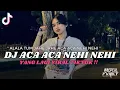 DJ ALALA TUM JAHE JAHE ACA ACA NEHI NEHI || DJ ACA ACA NEHI NEHI VIRAL TIKTOK TERBARU 2023