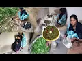 Download Lagu दिल में पत्थर रखकर बेटी को बिदा कर पहली सीजन की सरसों भाजी भात बनाई // Mannu sunita vlog 