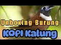 Download Lagu Unboxing Burung Kopi Kalung