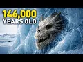 THE FIRST HUMAN Scientists Found a Dragon Man Skull That Rewrote Human Evolution