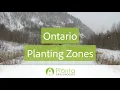 Ontario Planting Zones - Planta Greenhouses