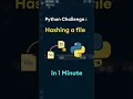 Python Challenge Hashing a file in under 1 minute