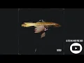 Phora - Everybody Knows [Audio Only]