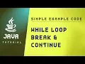 Java Tutorial While Loop Break Continue Statement In Java