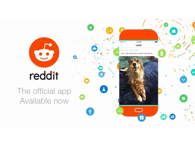 Reddit Motion graphics social media video