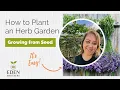 How to Plant an Herb Garden from Seed