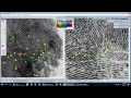 How to Compare Fingerprints - Examples 1-3
